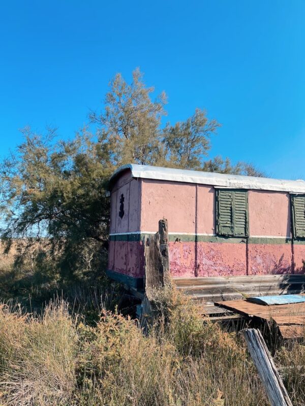 27CB7404-F334-4BBB-BDD7-649C624DDEF4